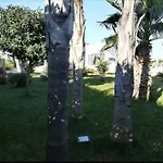 Dimora Sulla Collina Lägenhet *