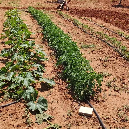 Dimora Sulla Collina شقة كازارانو